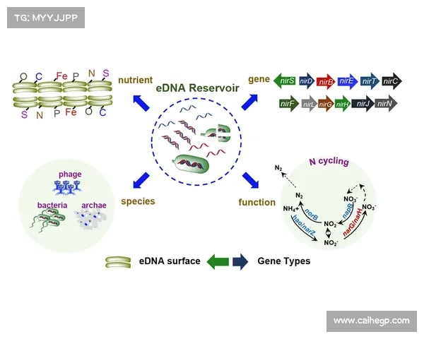 澳大利亚南部甲壳类生物多样性研究及其生态环境保护对策分析 澳大利亚南部甲壳类生物多样性研究及其生态环境保护对策分析